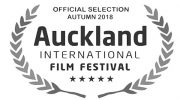 Auckland International film Festival WilFilm studio animation production