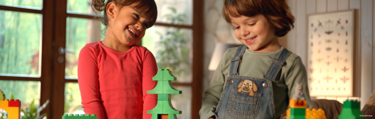 Duplo.jpg *