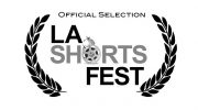 La Short film Festival WilFilm studio animation production